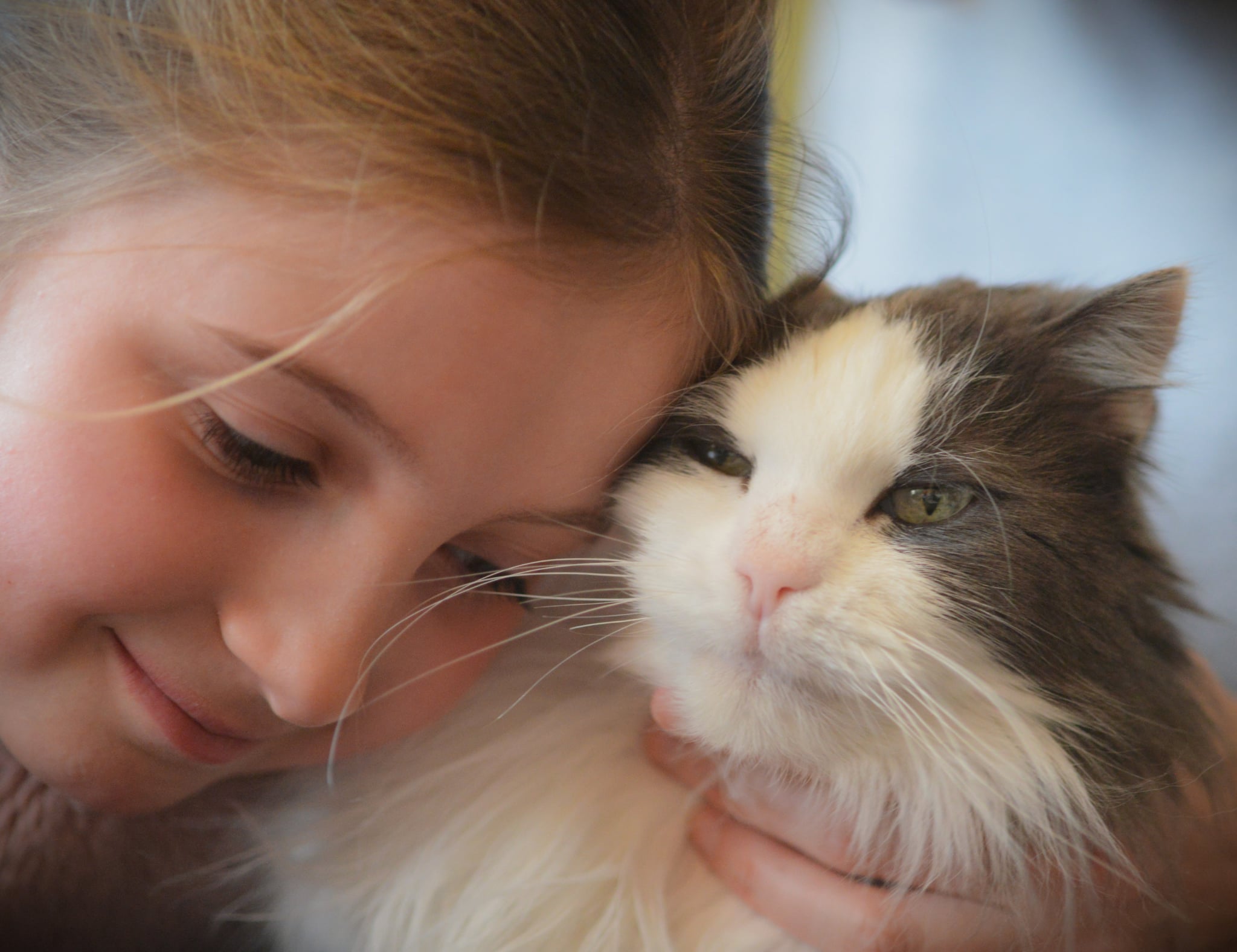 Zwerfkat en kind